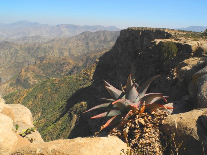 Eritrea Canyon