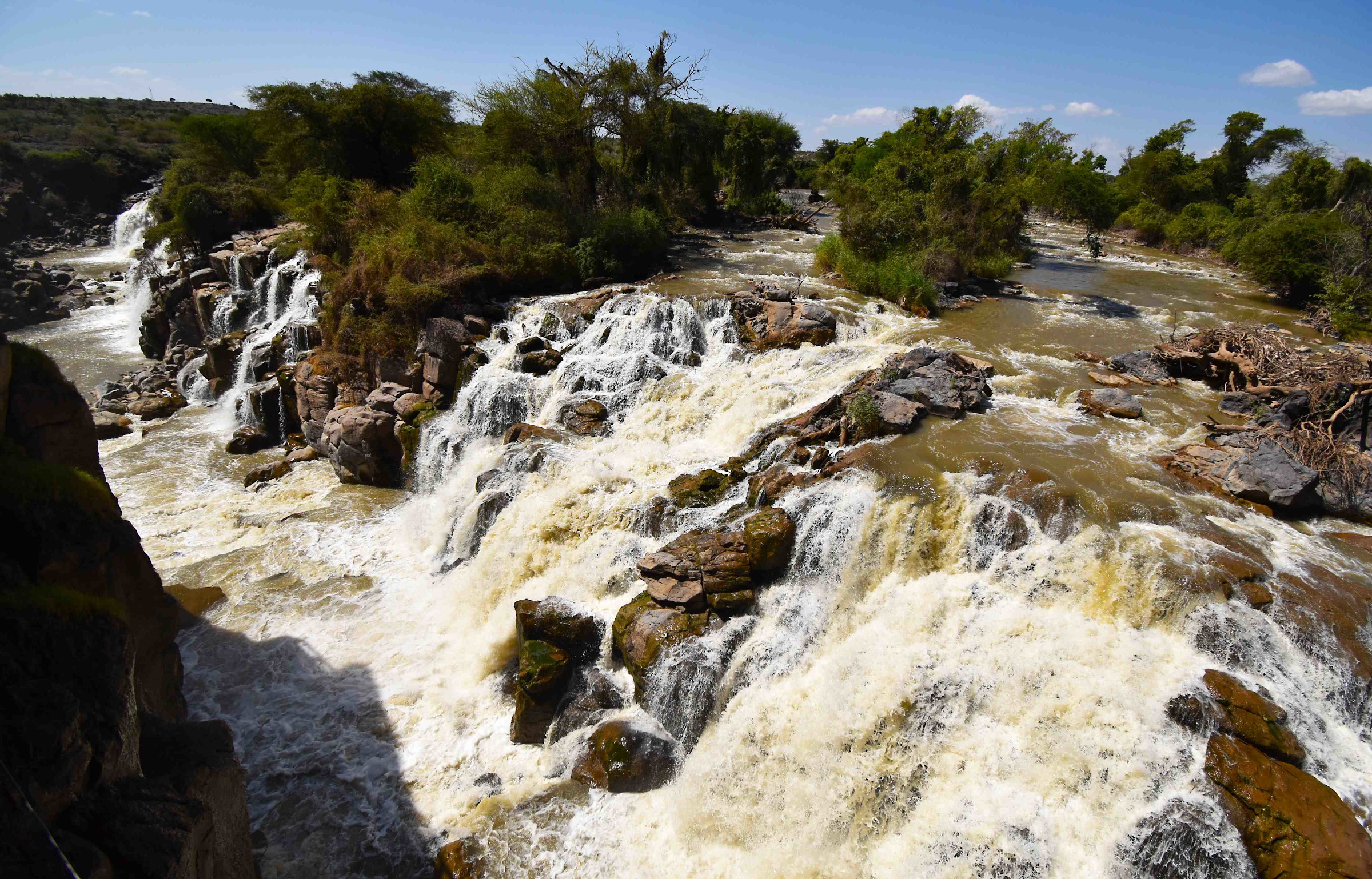 Awash-Nationalpark - Werner Gartung