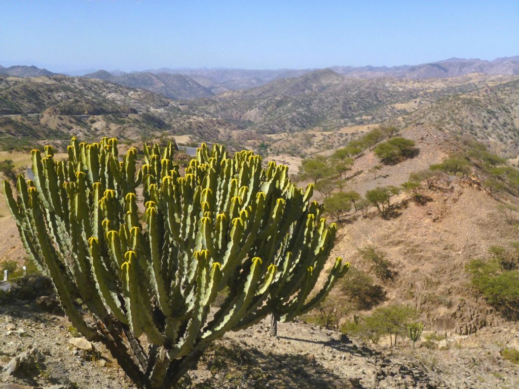 Eritrea - Hochland