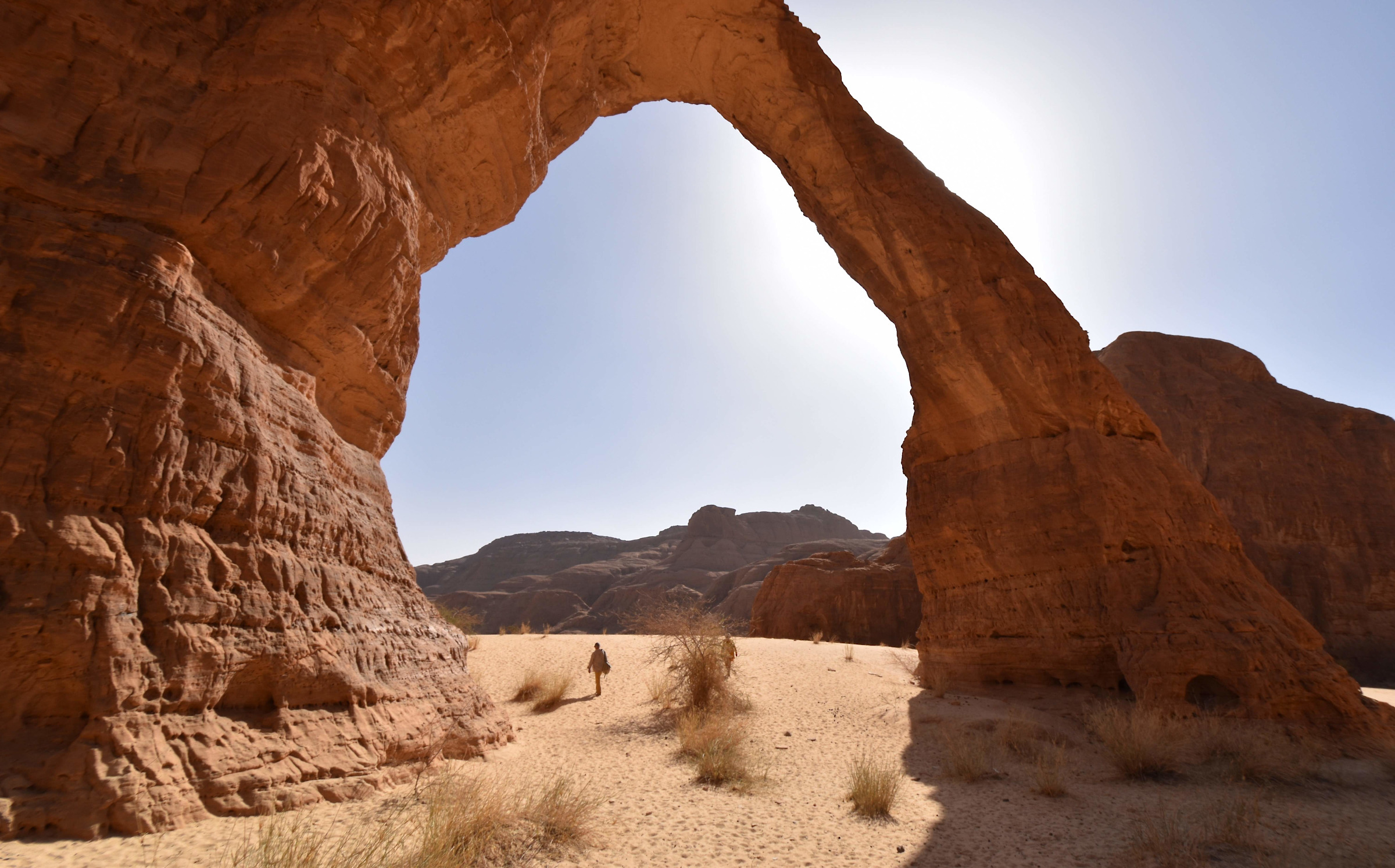 Wüste mit Palme in Algerien - Frans Lemmens