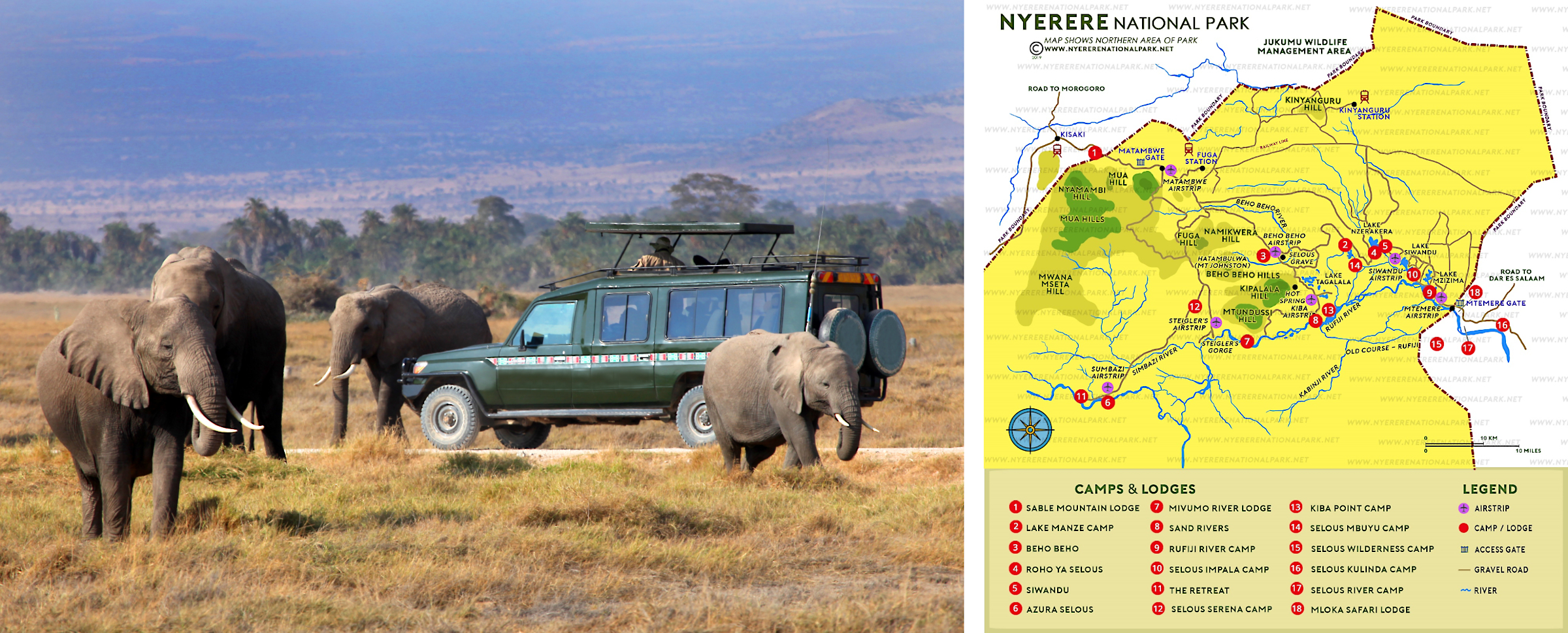 Elefanten - Nyerere National Park - map