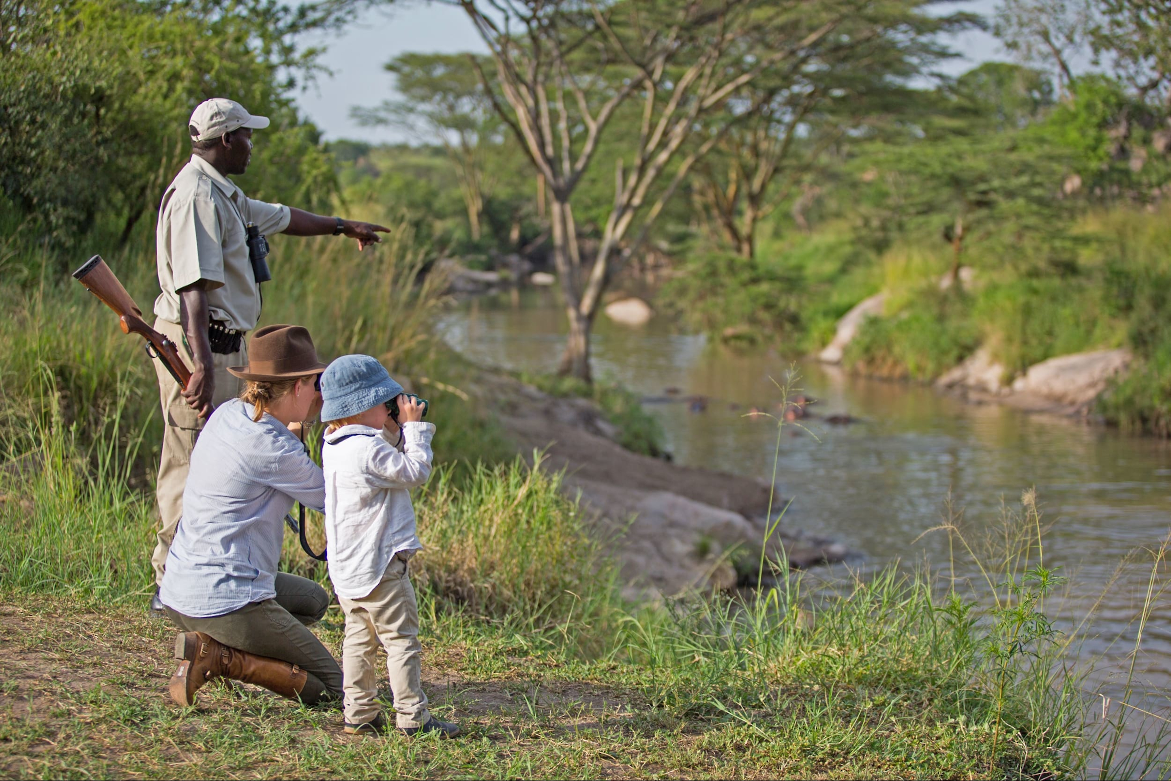 Safari