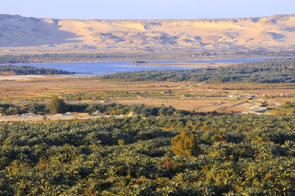 Ägypten - Oase Bahariya - © Gerhard Huber